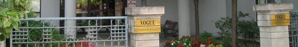 The Vogue